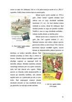 Diplomdarbs 'Jātnieka tēla pielietojums 20.gadsimta reklāmas materiālos', 23.