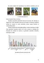 Diplomdarbs 'Jātnieka tēla pielietojums 20.gadsimta reklāmas materiālos', 38.