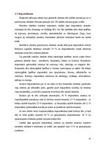 Diplomdarbs 'Jātnieka tēla pielietojums 20.gadsimta reklāmas materiālos', 43.