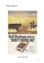 Diplomdarbs 'Jātnieka tēla pielietojums 20.gadsimta reklāmas materiālos', 49.