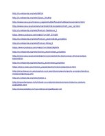 Prezentācija 'Ievērojamākās pilotējamās programmas', 24.