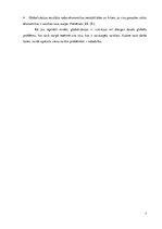 Referāts 'Mūsdienu laikmeta globālās problēmas un politikas nozīme to risināšanā', 7.