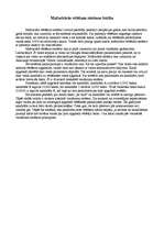 Konspekts 'Mažoritārās vēlēšanu sistēmas būtība', 1.