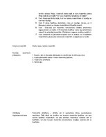 Konspekts 'Stundas plāns dabas zinībās', 2.