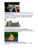 Konspekts 'Šīna Vilkinsone “Es joprojām krītu”', 5.