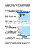 Referāts 'Paint lietošanas instrukcija iesācējiem', 2.