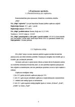 Biznesa plāns 'Biznesa plāns', 4.