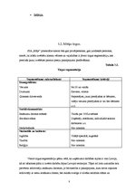 Biznesa plāns 'Biznesa plāns', 8.