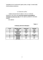 Biznesa plāns 'Biznesa plāns', 9.