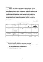 Biznesa plāns 'Biznesa plāns', 14.