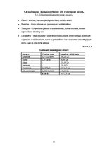 Biznesa plāns 'Biznesa plāns', 15.