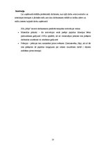 Biznesa plāns 'Biznesa plāns', 19.