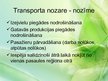 Prezentācija 'Transporta nozare', 2.
