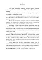 Diplomdarbs 'Bērna patstāvība kā darbības motivācijas priekšnosacījums pirmsskolas vecumā', 3.