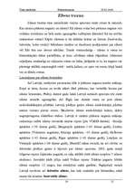 Referāts 'Elektrotraumas', 14.