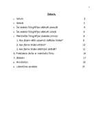 Referāts 'Melnbaltās fotogrāfijas izveides principi', 2.