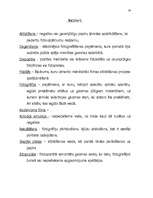 Referāts 'Melnbaltās fotogrāfijas izveides principi', 19.