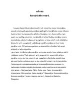 Referāts 'Enerģētiskie resursi', 1.