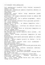 Referāts 'Interneta vispārējais apskats', 5.