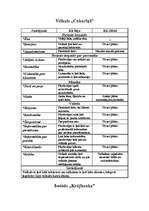 Konspekts 'Veikala analīze', 1.