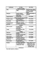 Konspekts 'Veikala analīze', 2.