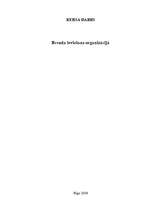 Referāts 'Brenda ieviešana organizācijā', 1.