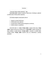 Referāts 'Brenda ieviešana organizācijā', 3.