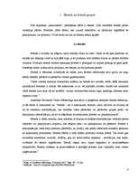 Referāts 'Brenda ieviešana organizācijā', 6.