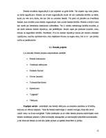 Referāts 'Brenda ieviešana organizācijā', 12.