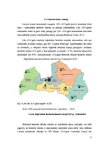 Referāts 'Nodarbinātības problēmas Latvijā', 17.