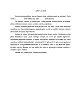 Referāts 'Plakanās pēdas veidošanās iemesli un profilakse', 2.