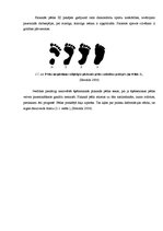 Referāts 'Plakanās pēdas veidošanās iemesli un profilakse', 9.