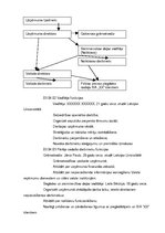 Biznesa plāns 'SIA "XX"', 7.