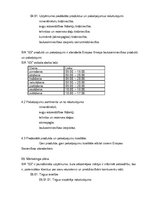 Biznesa plāns 'SIA "XX"', 10.