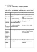 Biznesa plāns 'SIA "XX"', 13.