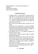 Referāts 'Dokumentācijas izstrāde 4.kategorijas viesu namam', 8.