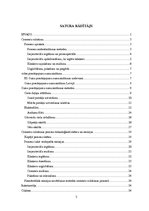 Referāts 'Atmosfēras piesārņojums un tā novēršana cementa ražošanas procesā', 2.
