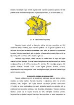 Referāts 'Atmosfēras piesārņojums un tā novēršana cementa ražošanas procesā', 5.