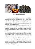 Referāts 'Atmosfēras piesārņojums un tā novēršana cementa ražošanas procesā', 7.