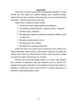 Referāts 'Atmosfēras piesārņojums un tā novēršana cementa ražošanas procesā', 15.