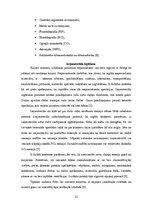 Referāts 'Atmosfēras piesārņojums un tā novēršana cementa ražošanas procesā', 21.