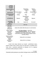 Referāts 'Atmosfēras piesārņojums un tā novēršana cementa ražošanas procesā', 26.