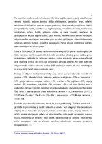 Referāts 'Inlācijas fenomens un tās sekas', 9.