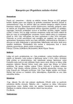 Konspekts 'Konspekts par 19.gadsimta mākslas virzieniem', 1.