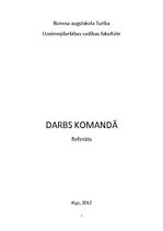 Referāts 'Darbs komandā', 1.