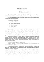 Referāts 'Darbs komandā', 6.