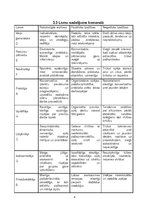 Referāts 'Darbs komandā', 8.