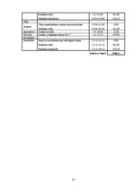 Referāts 'Mārketinga komunikāciju attīstības projekts', 24.