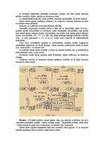 Konspekts 'Ģeodēziskie darbi vertikālā plānošanā (ģeodēzija)', 2.