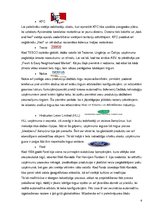 Referāts 'Glokalizācijas raksturojums un piemēru analīze', 6.